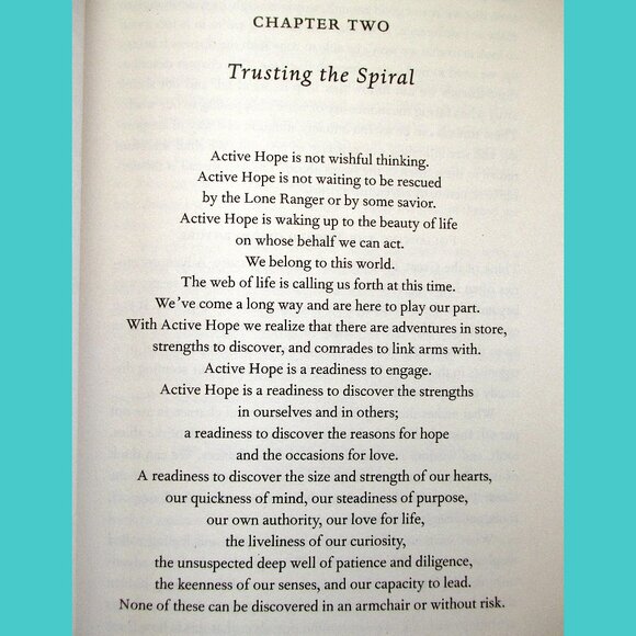 Book - Active Hope: How to Face the Mess We're in Without Going Crazy - Picture 6 of 16